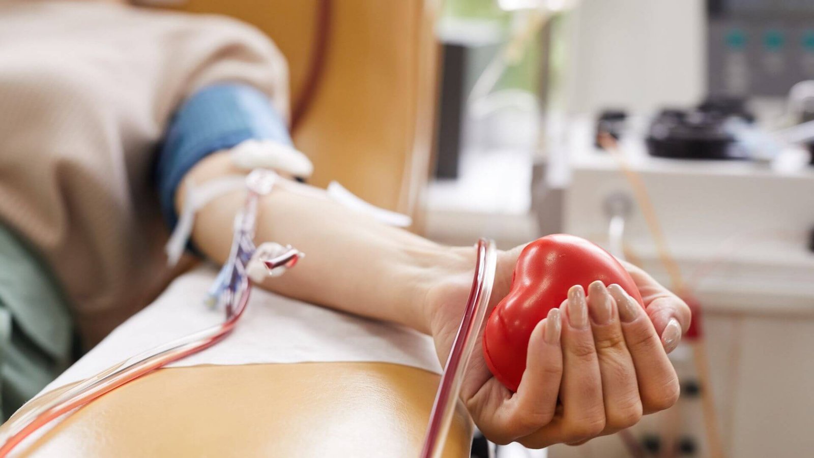 Junho Vermelho: pessoas com reumatismo podem doar sangue?